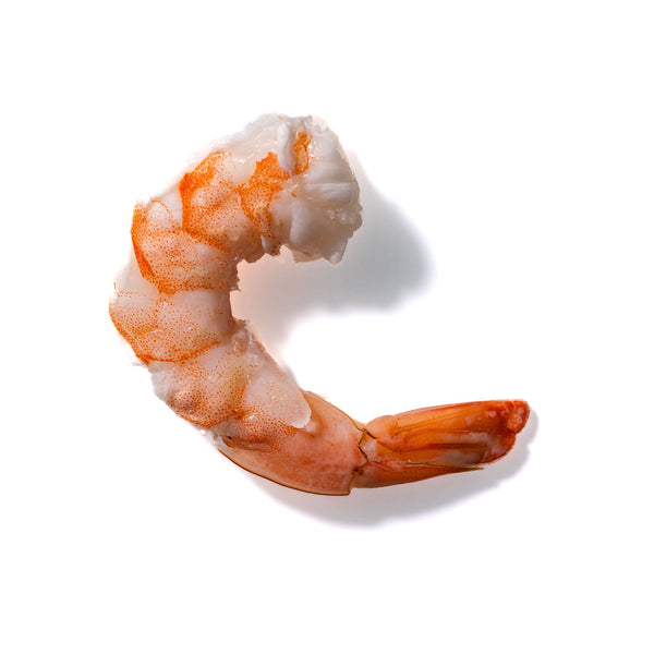 Shrimp No. 458