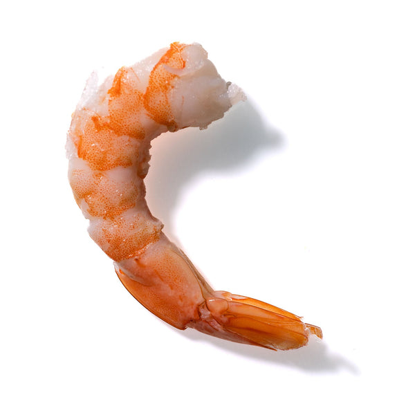 Shrimp No. 461