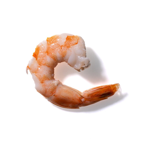 Shrimp No. 468