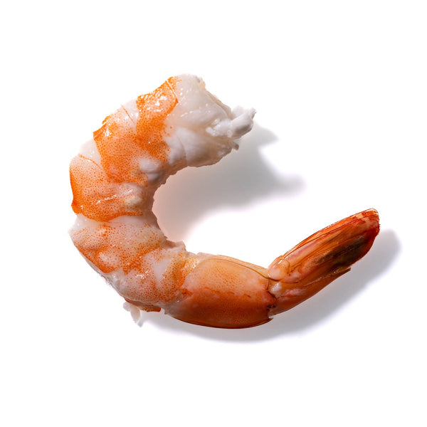 Shrimp No. 470