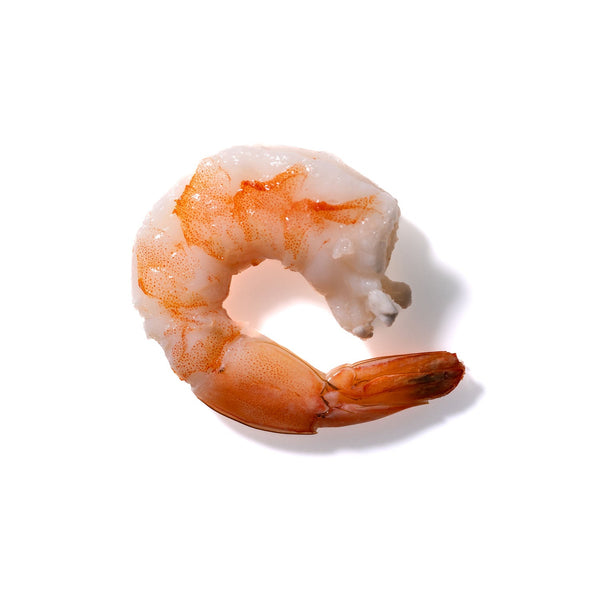 Shrimp No. 471