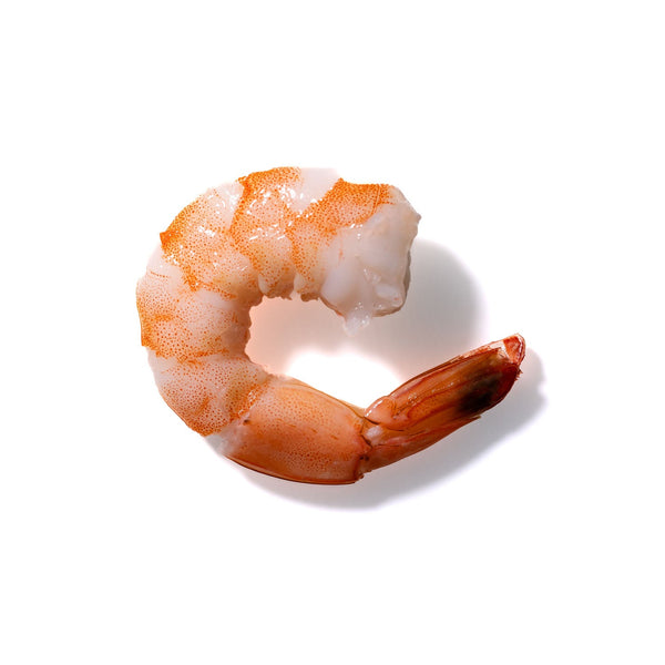 Shrimp No. 473