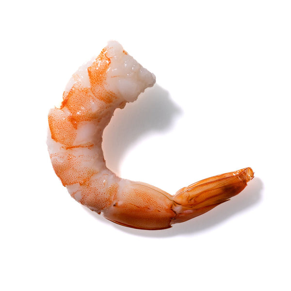 Shrimp No. 474