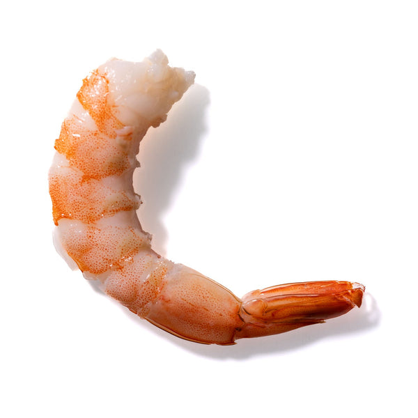 Shrimp No. 476