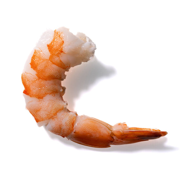 Shrimp No. 479