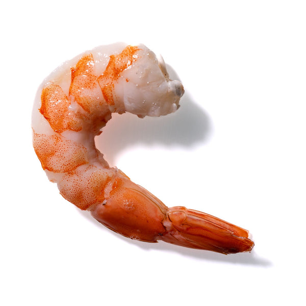 Shrimp No. 483