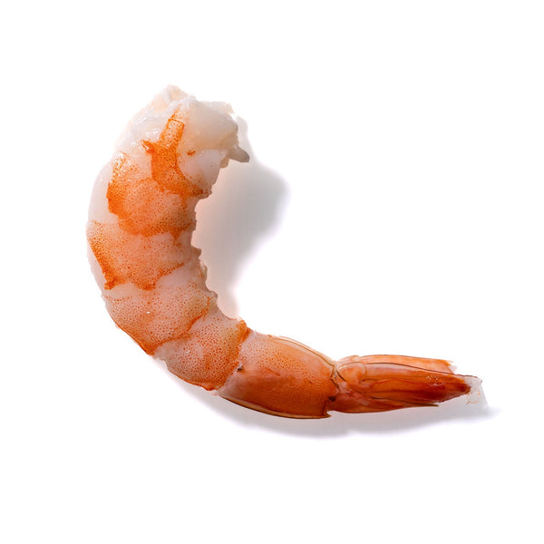 Shrimp No. 491