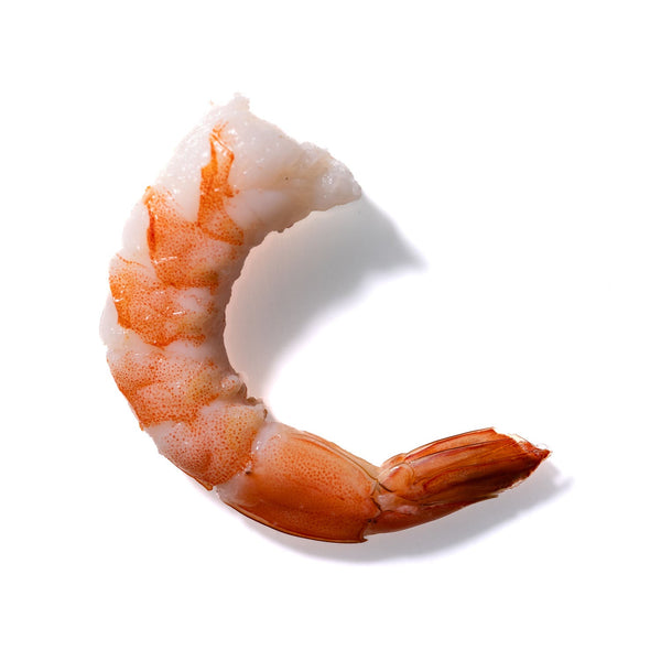 Shrimp No. 497