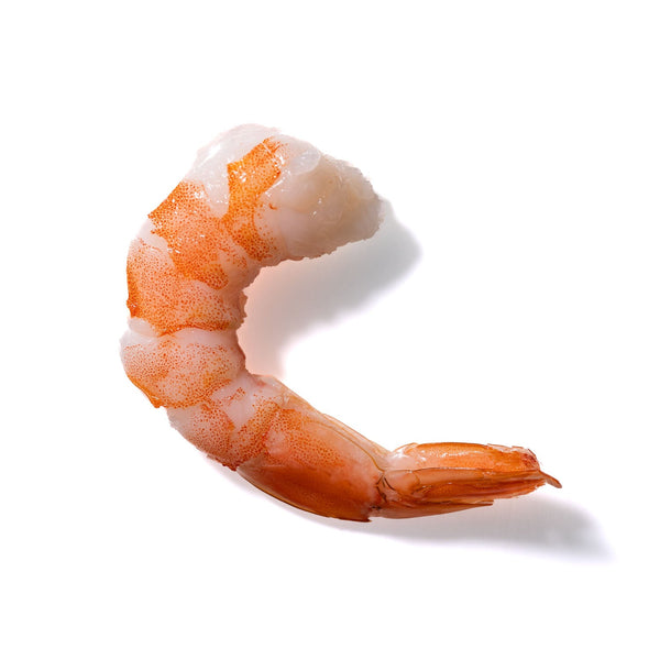 Shrimp No. 500