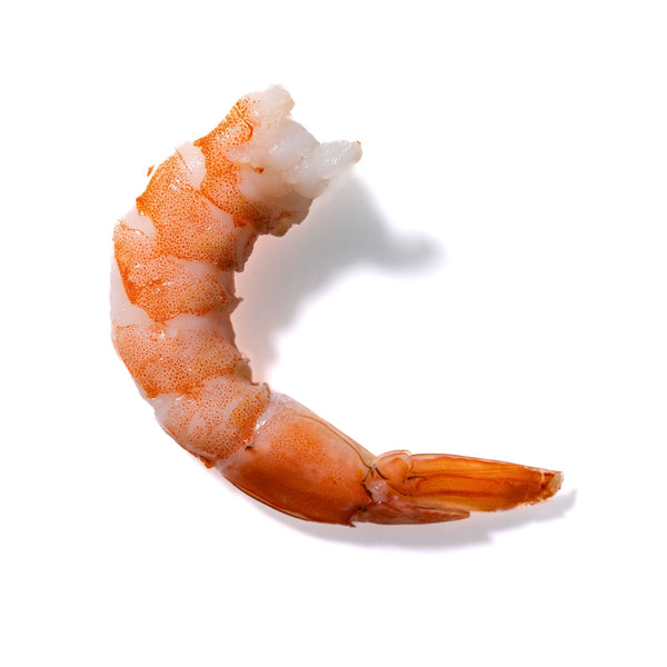 Shrimp No. 507