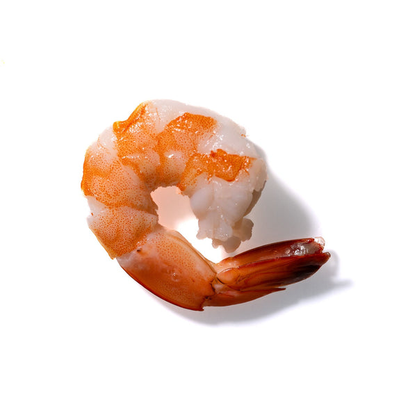 Shrimp No. 510