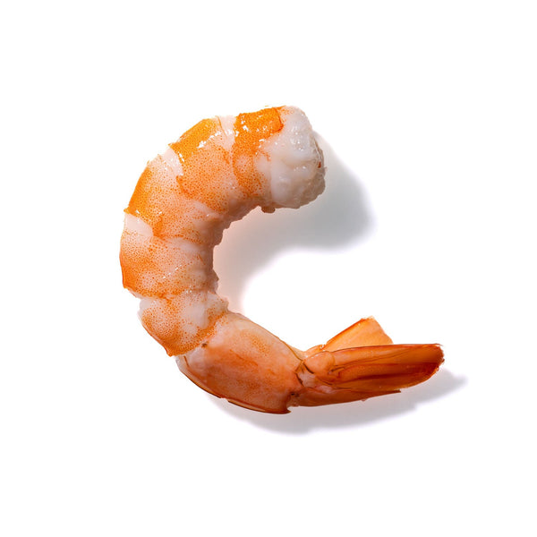 Shrimp No. 528