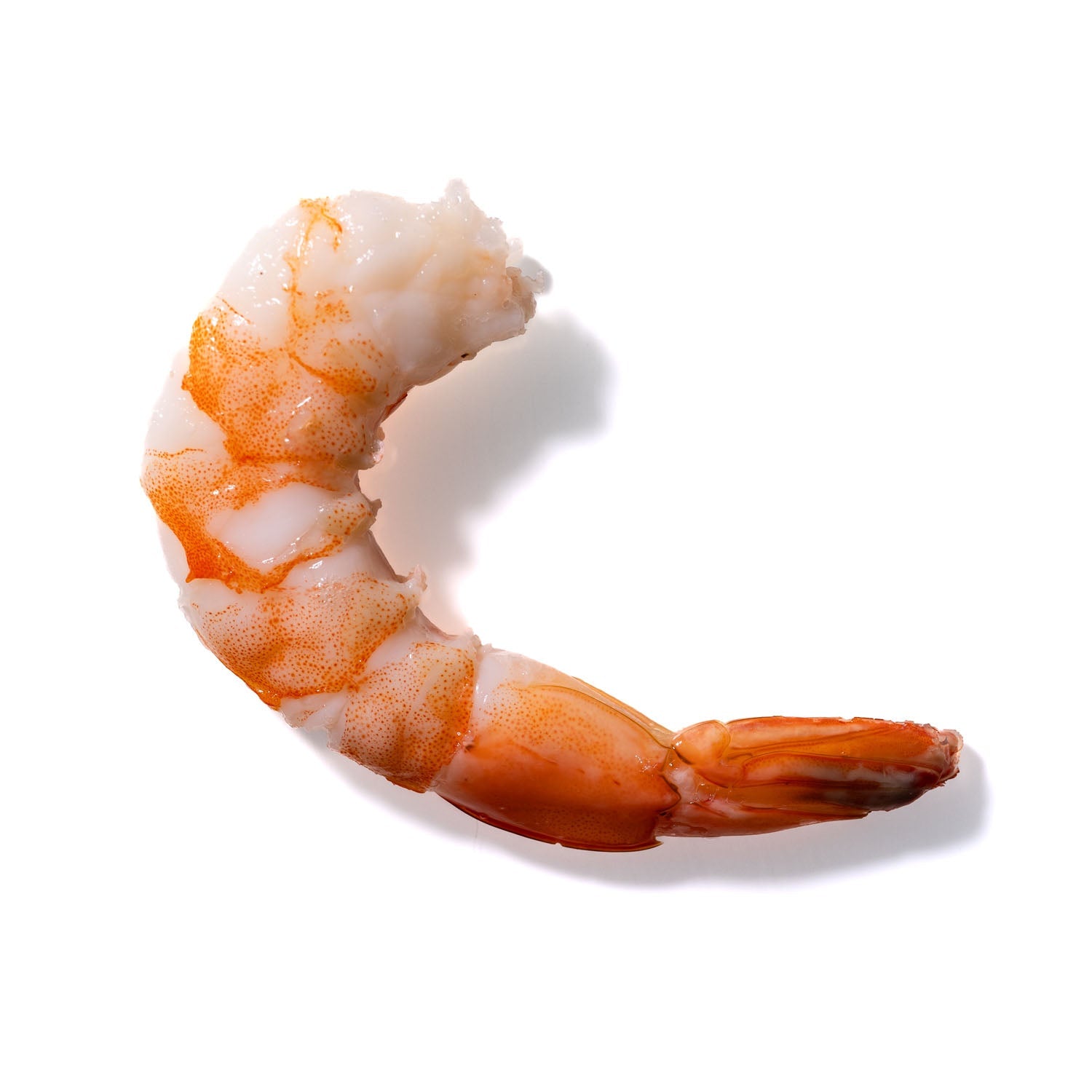 Shrimp No. 533