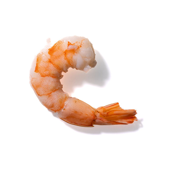 Shrimp No. 535