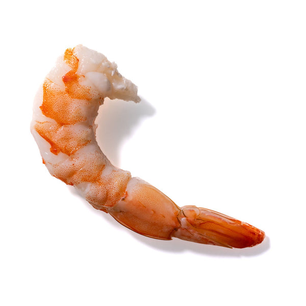 Shrimp No. 538