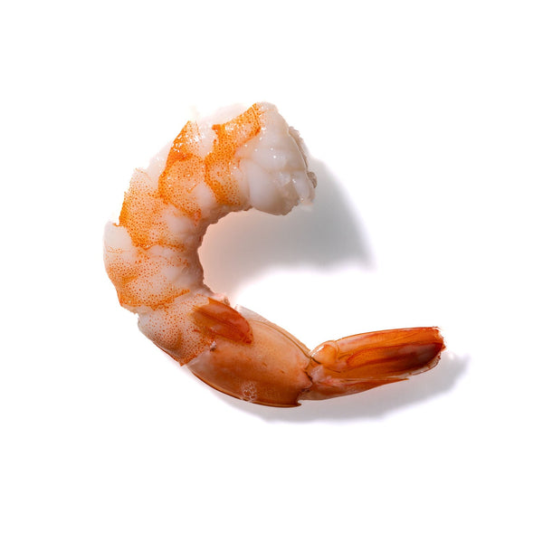 Shrimp No. 548