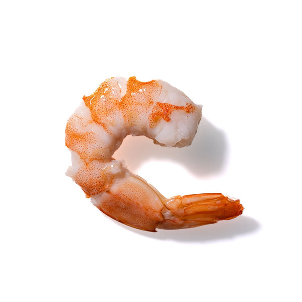 Shrimp No. 549