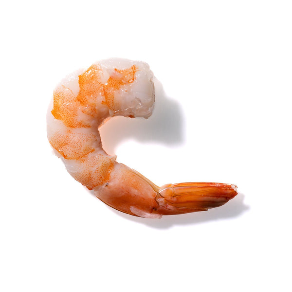 Shrimp No. 602