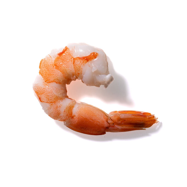 Shrimp No. 605