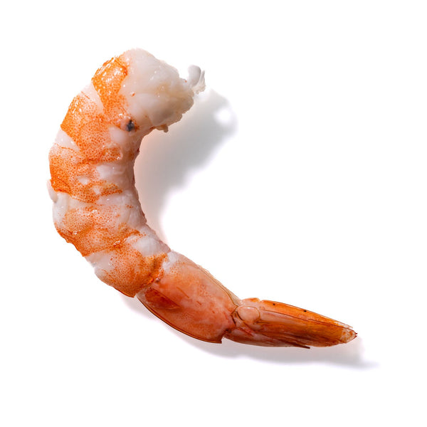 Shrimp No. 606