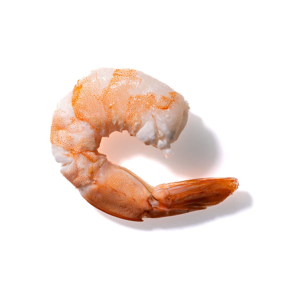 Shrimp No. 609