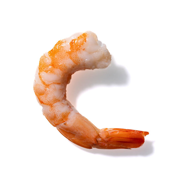 Shrimp No. 612