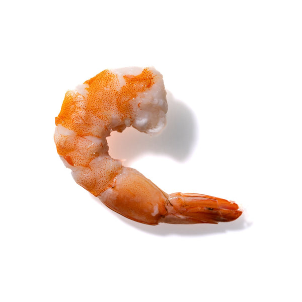 Shrimp No. 615