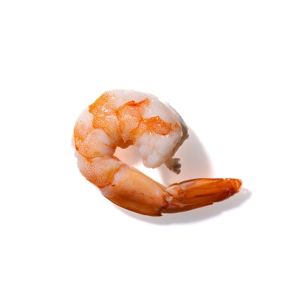 Shrimp No. 617