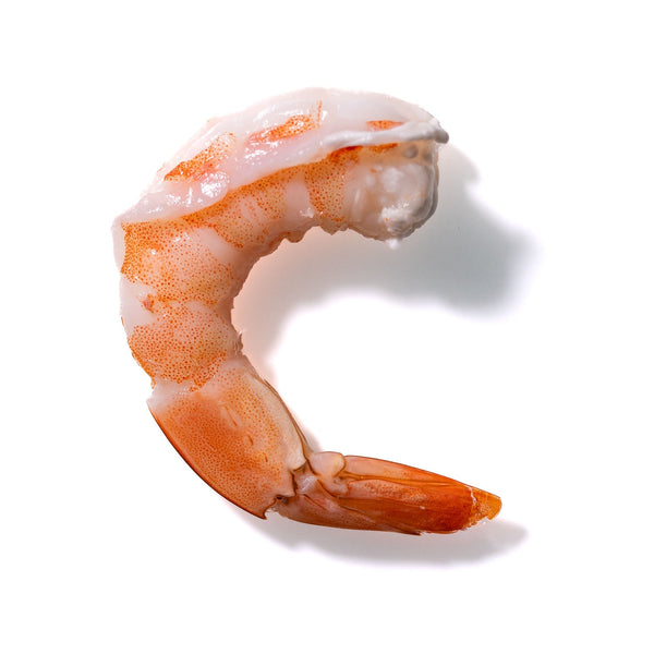 Shrimp No. 618