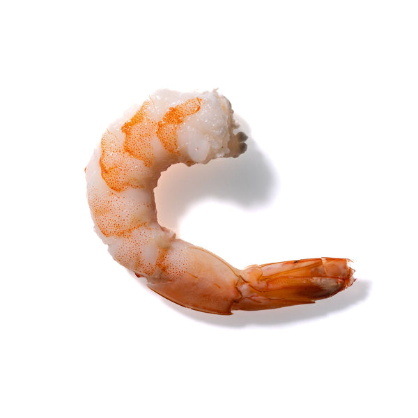 Shrimp No. 621