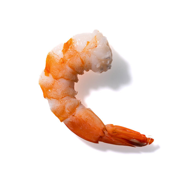 Shrimp No. 622