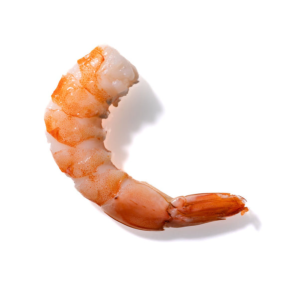 Shrimp No. 624