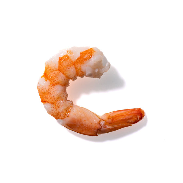 Shrimp No. 625