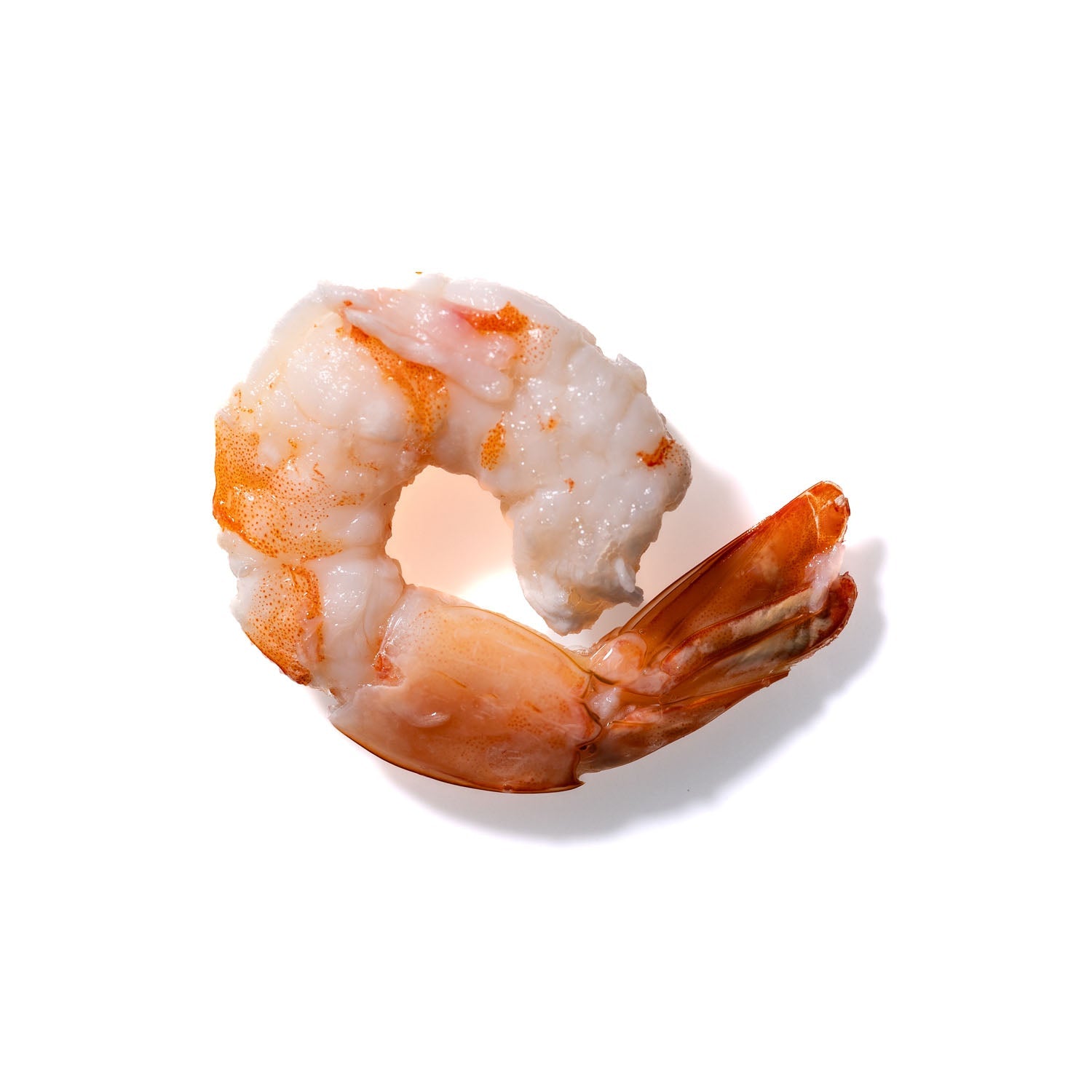 Shrimp No. 627