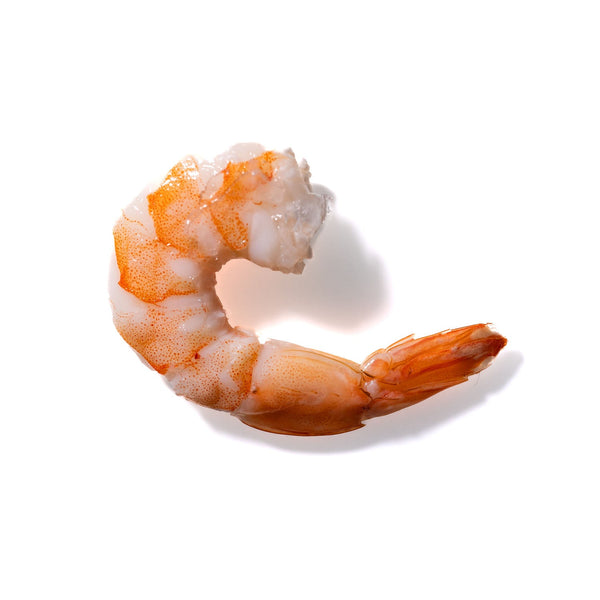 Shrimp No. 628