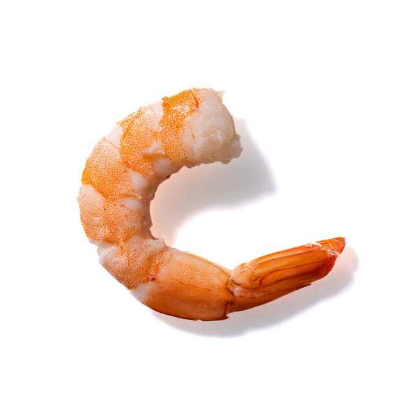 Shrimp No. 629