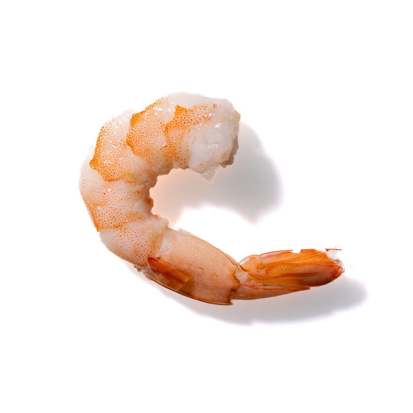 Shrimp No. 630