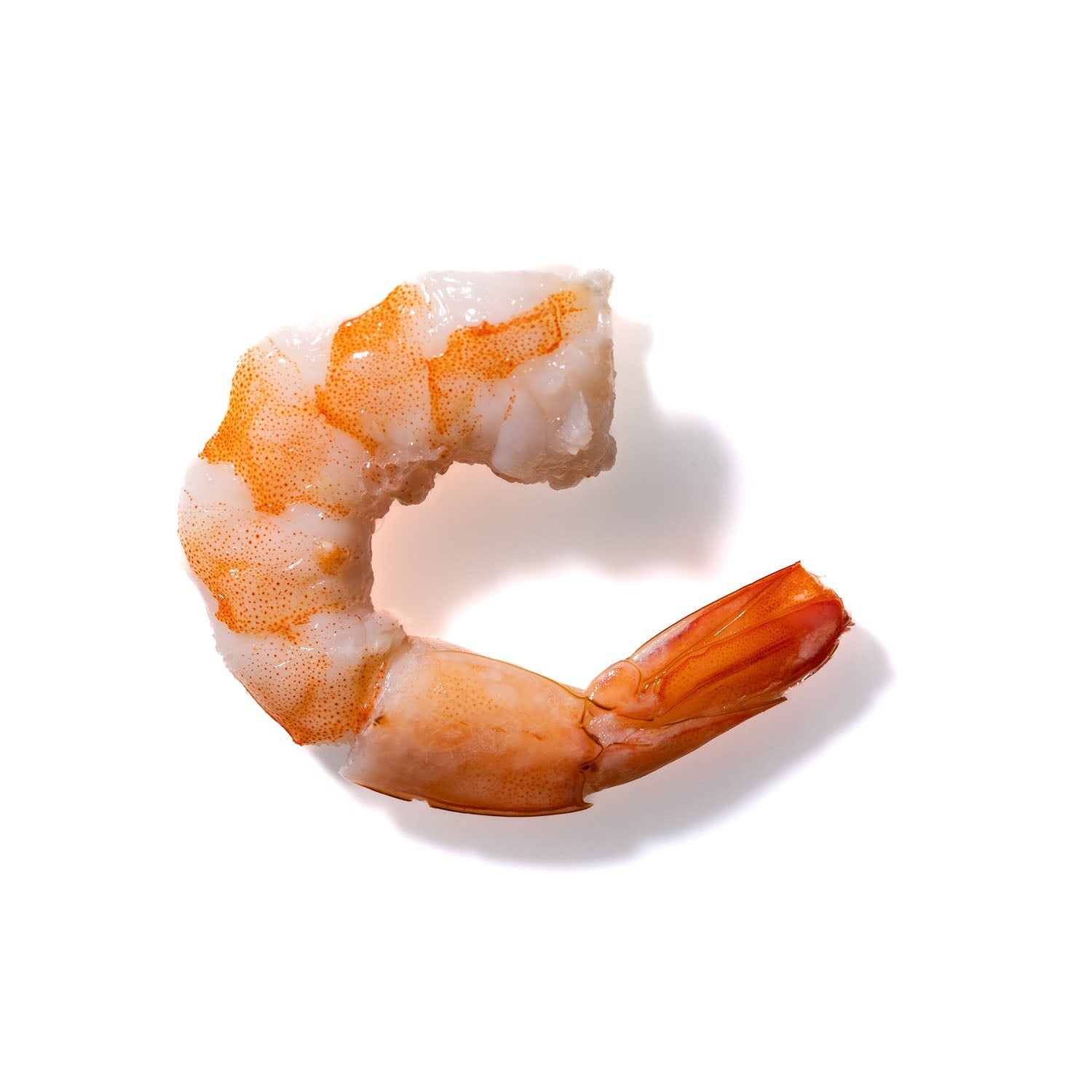 Shrimp No. 631