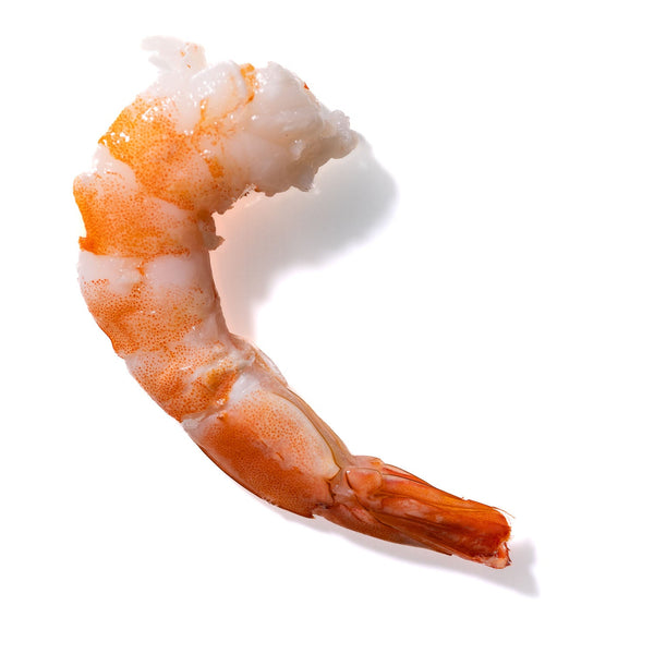 Shrimp No. 632