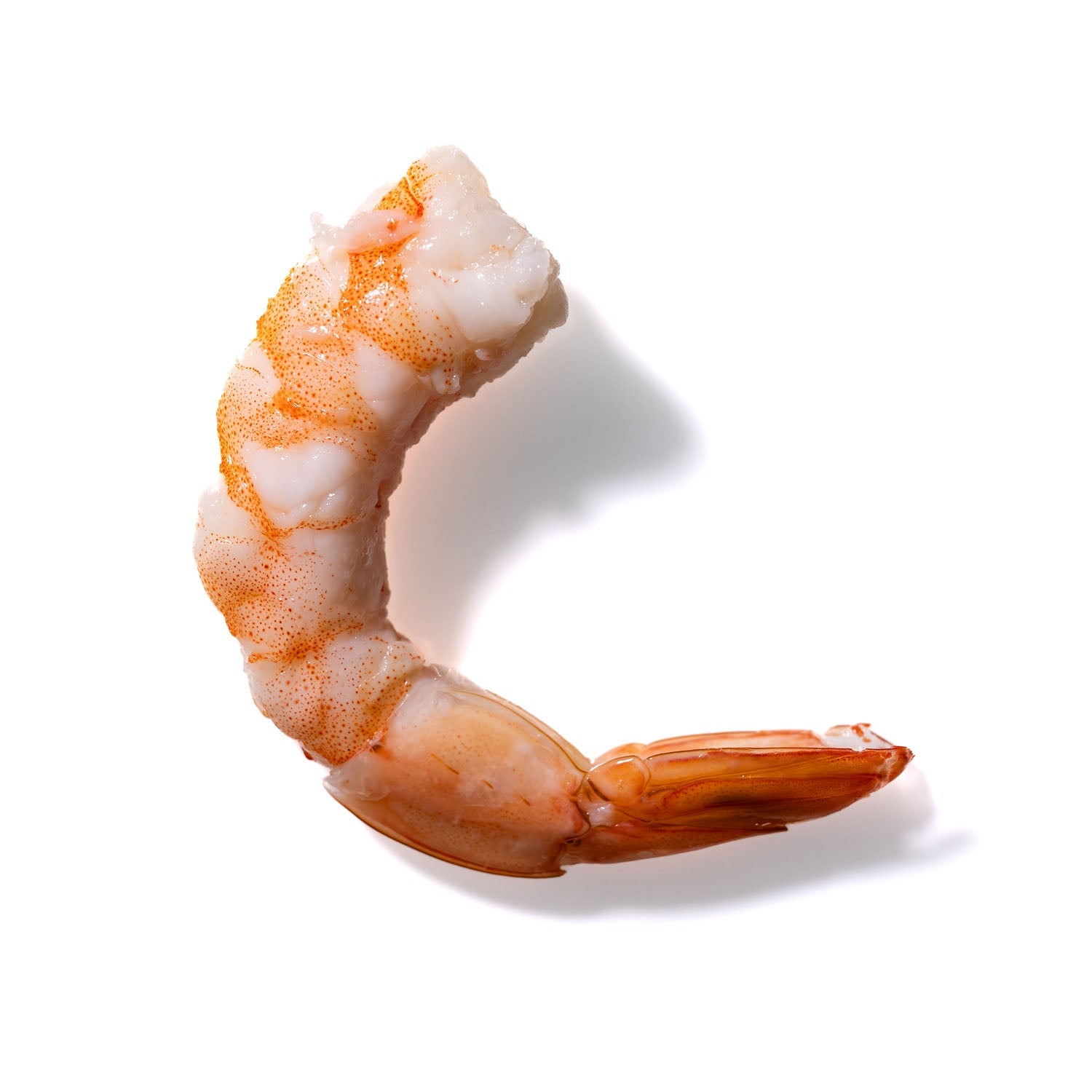 Shrimp No. 633