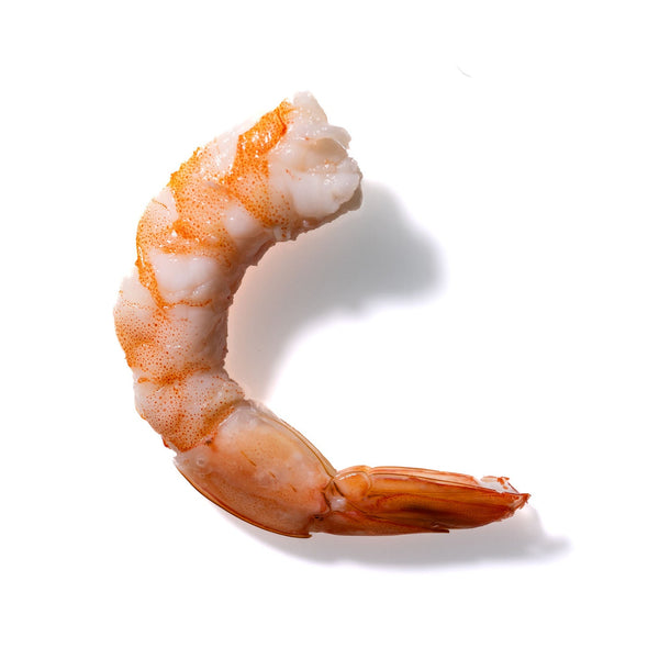 Shrimp No. 634