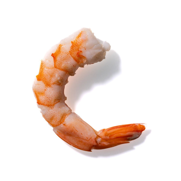 Shrimp No. 636