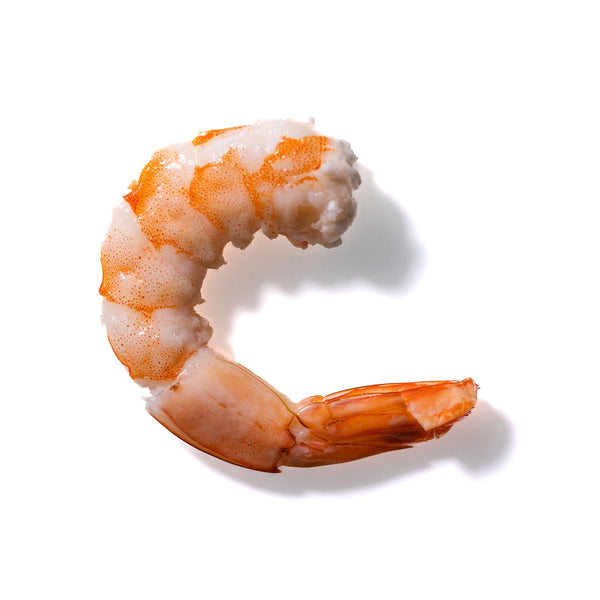 Shrimp No. 638