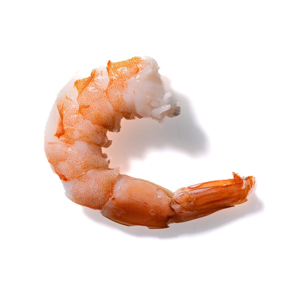 Shrimp No. 639