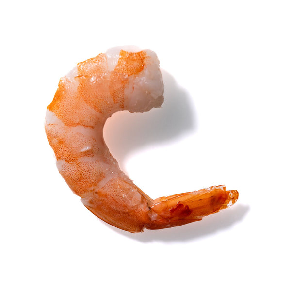 Shrimp No. 640