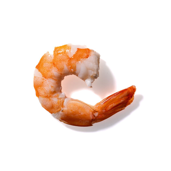 Shrimp No. 642