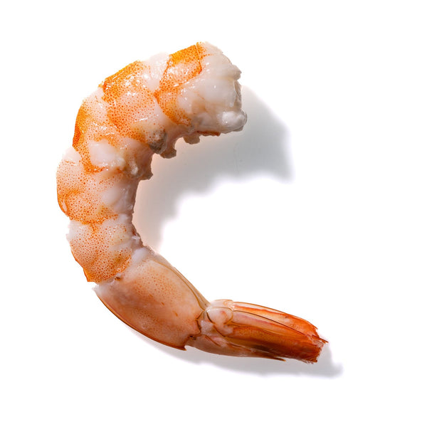 Shrimp No. 643