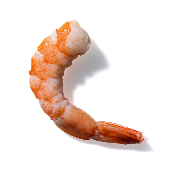 Shrimp No. 649