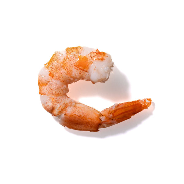 Shrimp No. 677