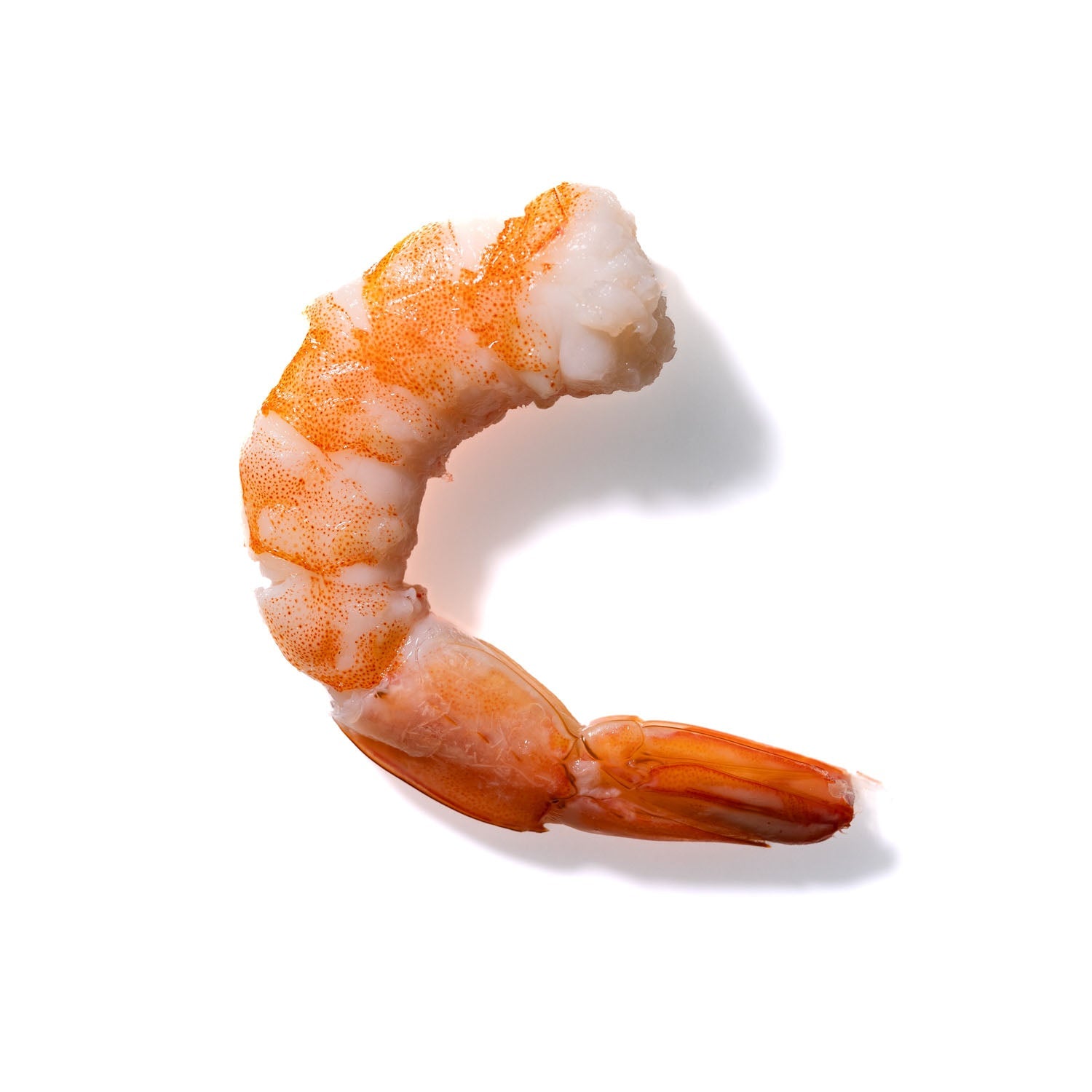 Shrimp No. 678